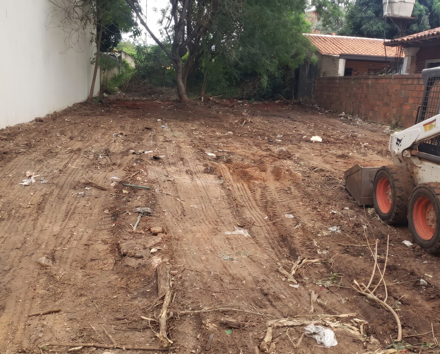 Limpieza del terreno en progreso, vista hacia el fondo